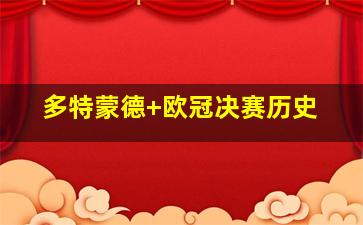 多特蒙德 欧冠决赛历史